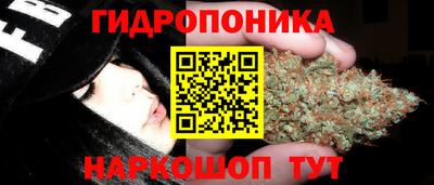 крисы Гусиноозёрск