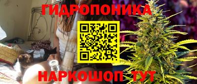 прущие грибы Гусь-Хрустальный