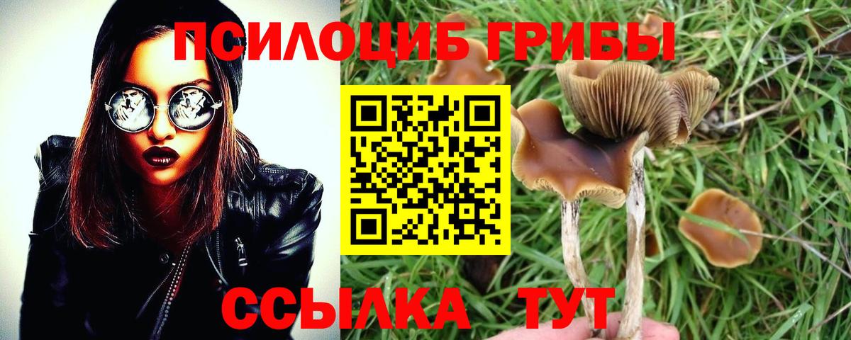 Галлюциногенные грибы GOLDEN TEACHER Михайловка