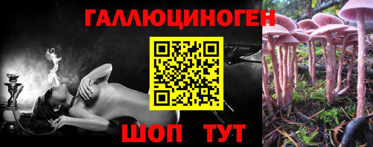 Псилоцибиновые грибы Psilocybe  продажа наркотиков  Михайловка  Вход с VPN 